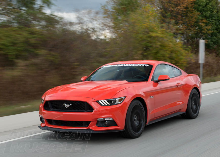 Gt stock options