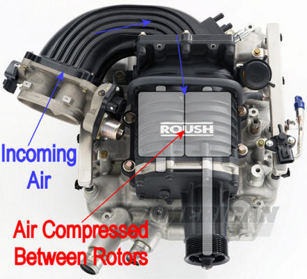Positive Displacement Mustang Supercharger