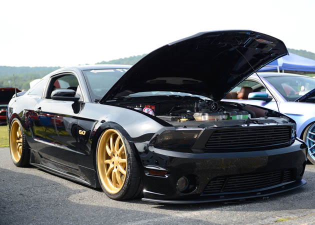 2010 2014 show mustang lowered on gold rims