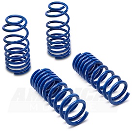 How Much To Install Lowering Springs Mustang