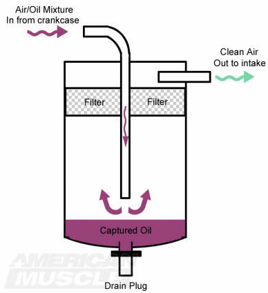Mustang Oil Catch Can Diagram