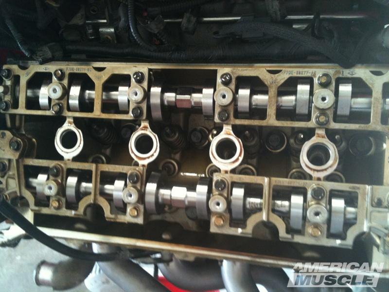 Mustang Camshaft Facts & Technical Information AmericanMuscle