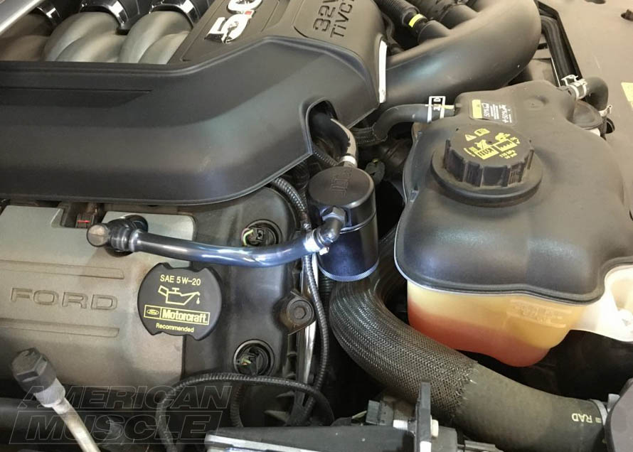 JLt Black Oil Separator Installed on a GT Mustang