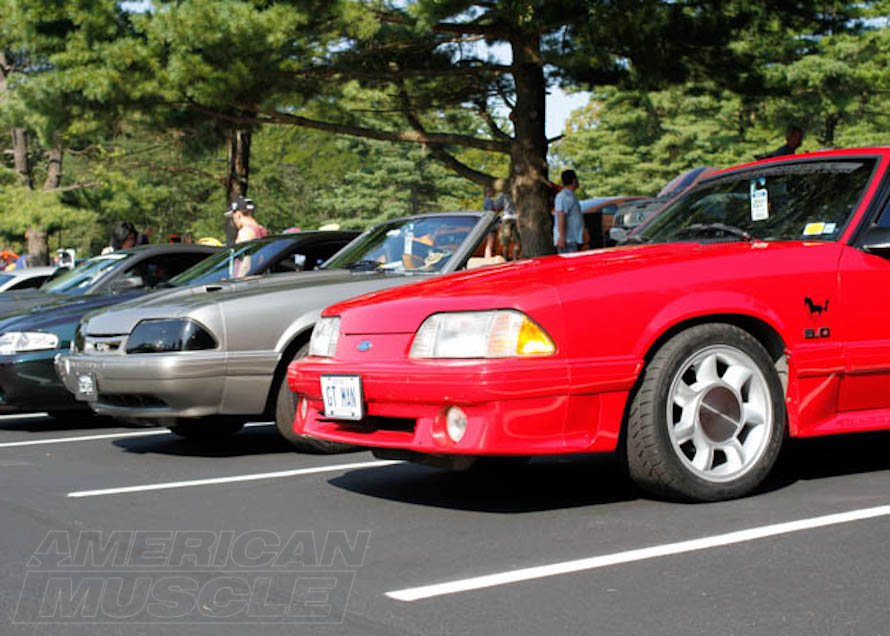 Two Foxbody Mustangs at a Show