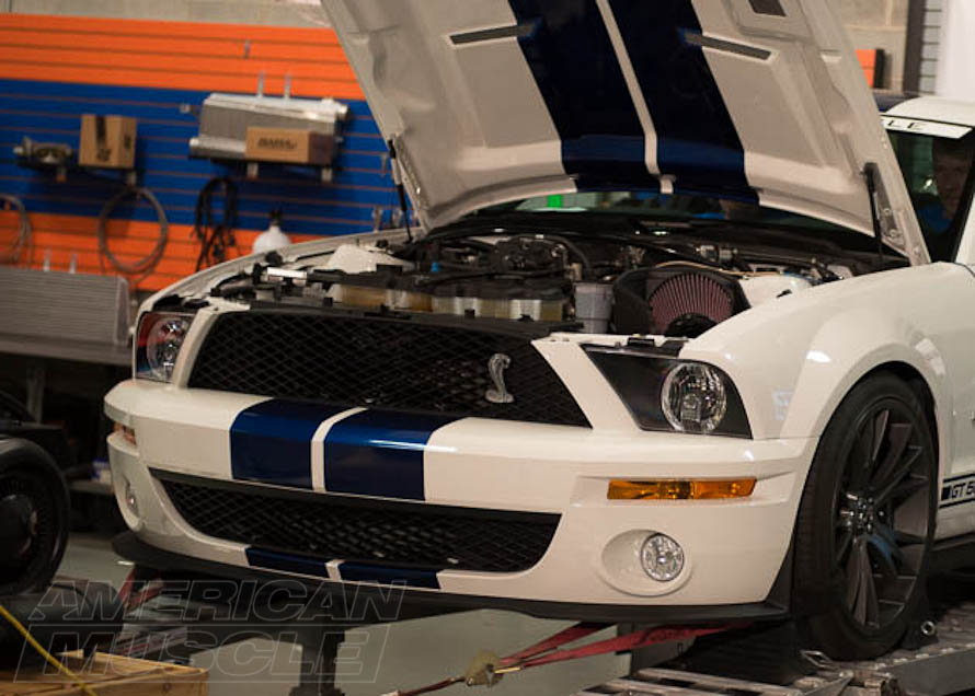 2009 GT500 Shelby Mustang on a Dyno