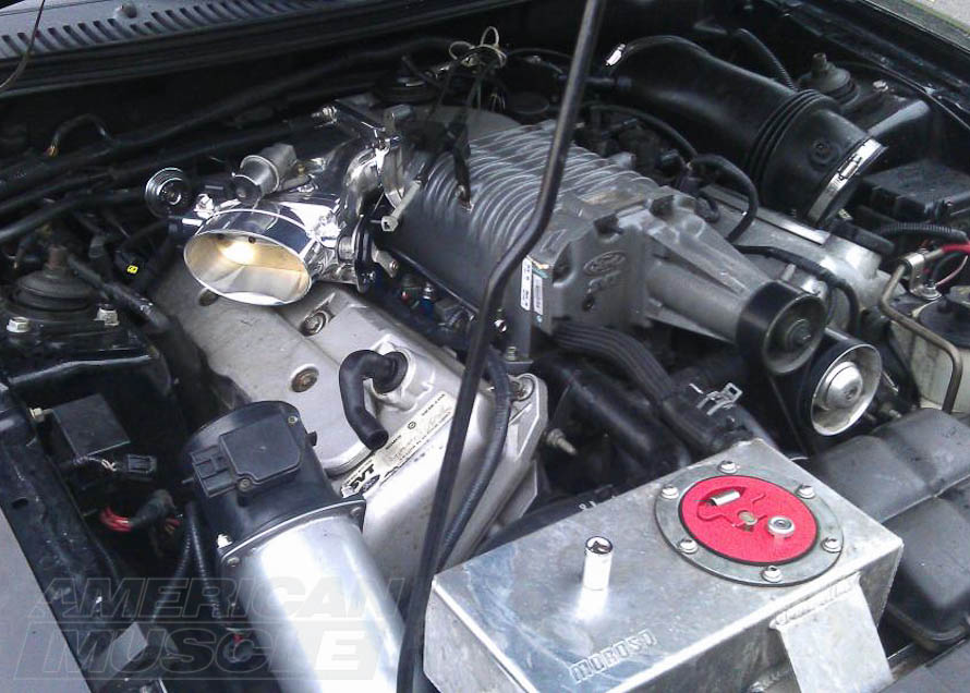 Accufab Oval Style Throttle Body and Plenum Combo Installed on a Supercharged 2003-2004 Mustang Cobra