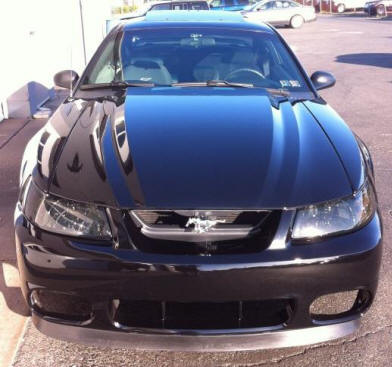 Waxed Hood on a Show Mustang