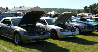 Rows of Mustangs at a Mustang Oriented Show